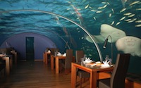 underwater restaurant