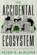 cover of book The Accidental Ecosystem