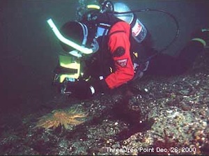 John Williams filming underwater