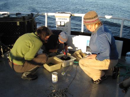 scientists on boat