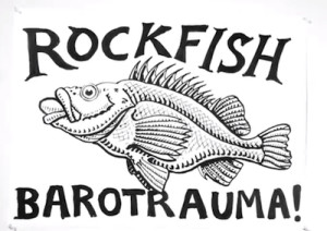 rockfishBarotrauma